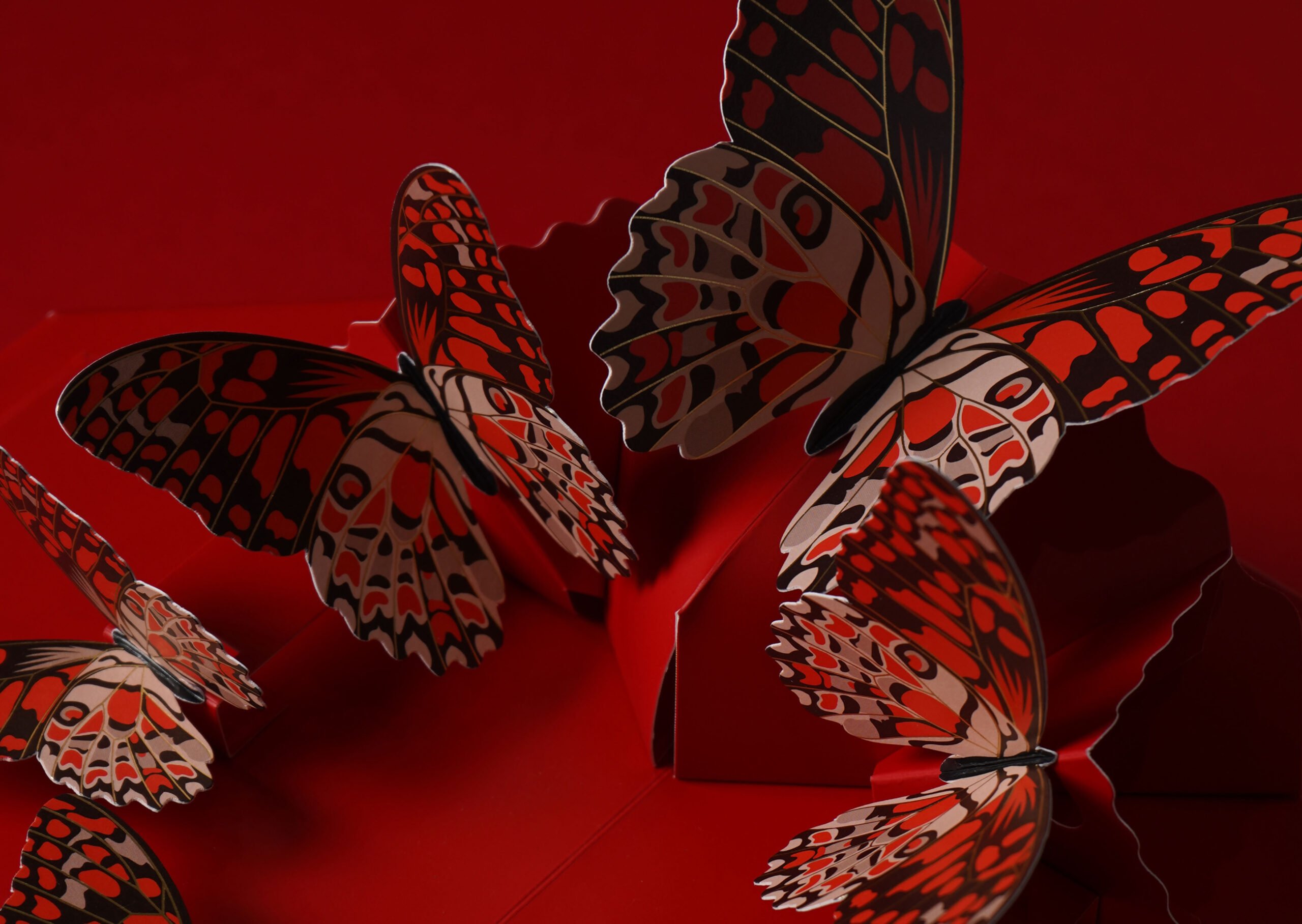 Alexander McQueen CNY 2021 Red Packet Design